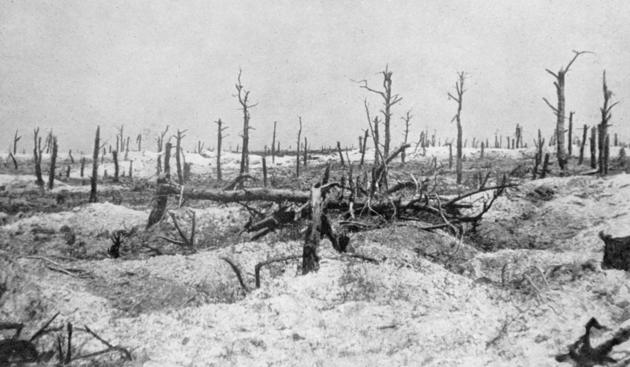 Wysadzane pnie drzew, Mesnil, Szampan, Francja, I wojna światowa, 1915 autorstwa Unbekannt