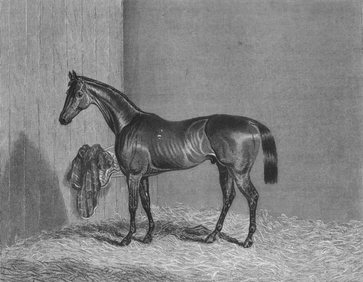 Bloomsbury, 1836-1861, 1911 autorstwa Unbekannt