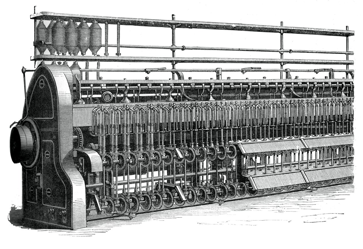 Szpulka i rama muchowa, c1880 autorstwa Unbekannt
