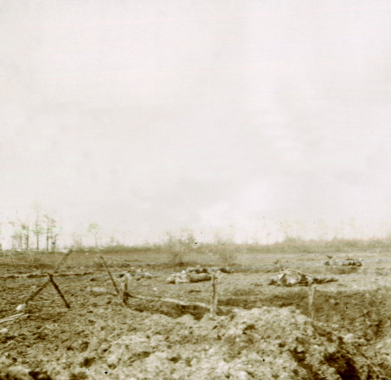 Ciała po ataku, c1914-c1918 autorstwa Unbekannt