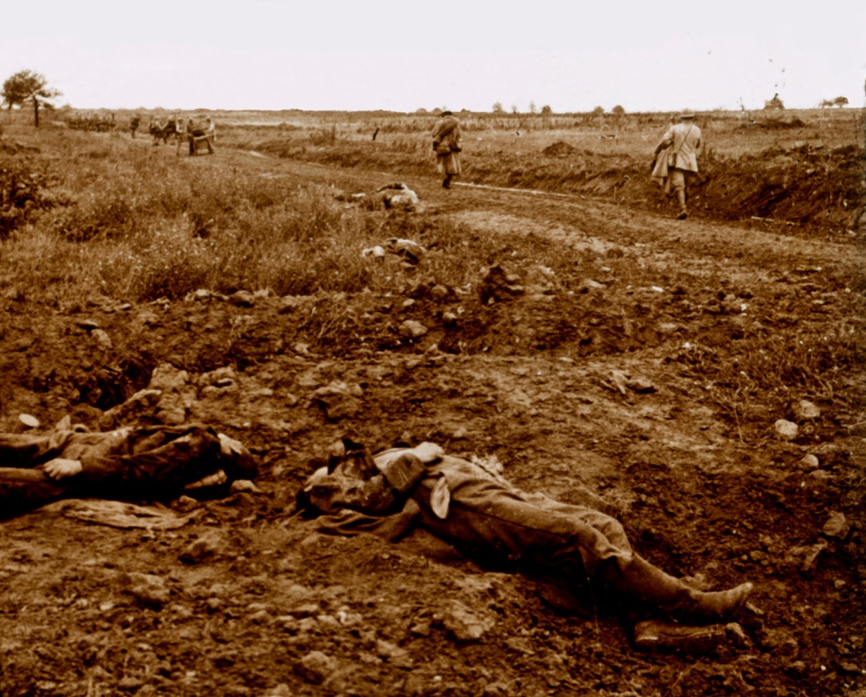 Ciała żołnierzy niemieckich, c1914-c1918 autorstwa Unbekannt