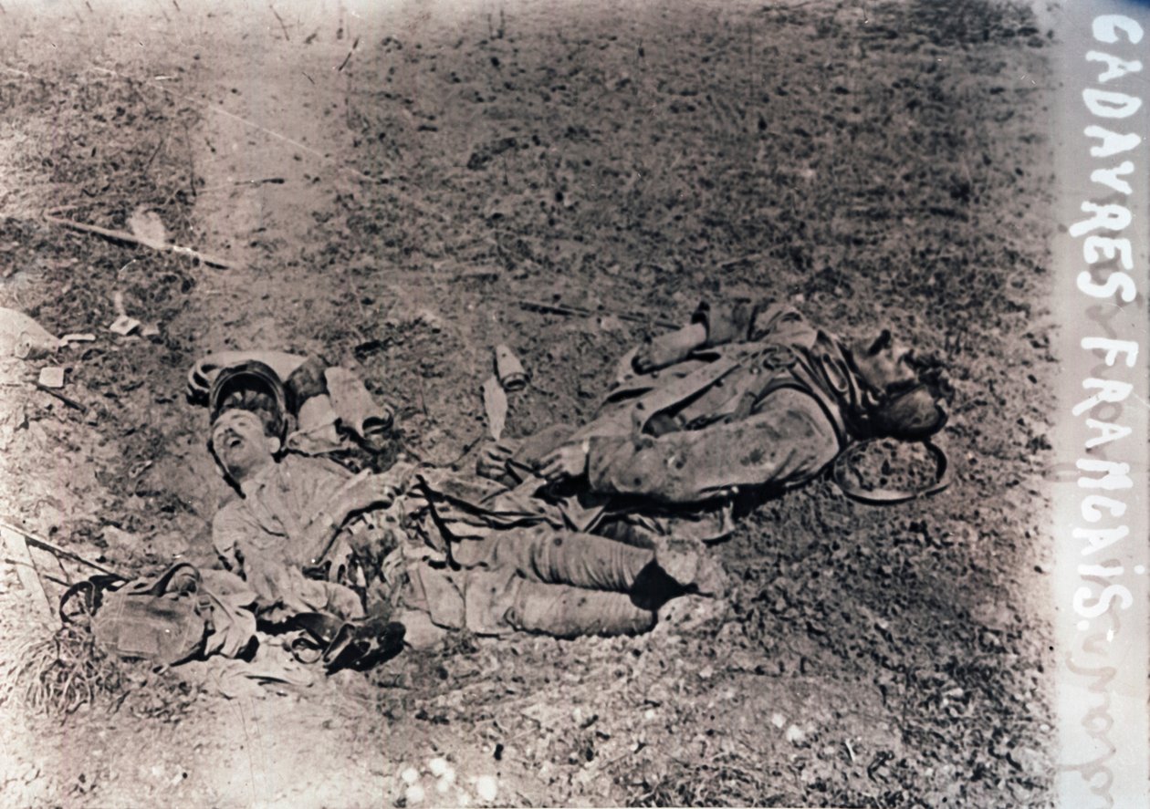 Ciała zmarłych francuskich żołnierzy, c1914-c1918 autorstwa Unbekannt