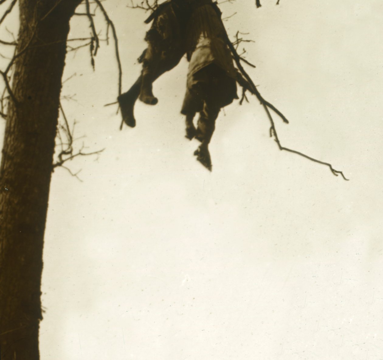 Ciało na drzewie, Bois dAvocourt, Verdun, północna Francja, c1914-c1918. autorstwa Unbekannt