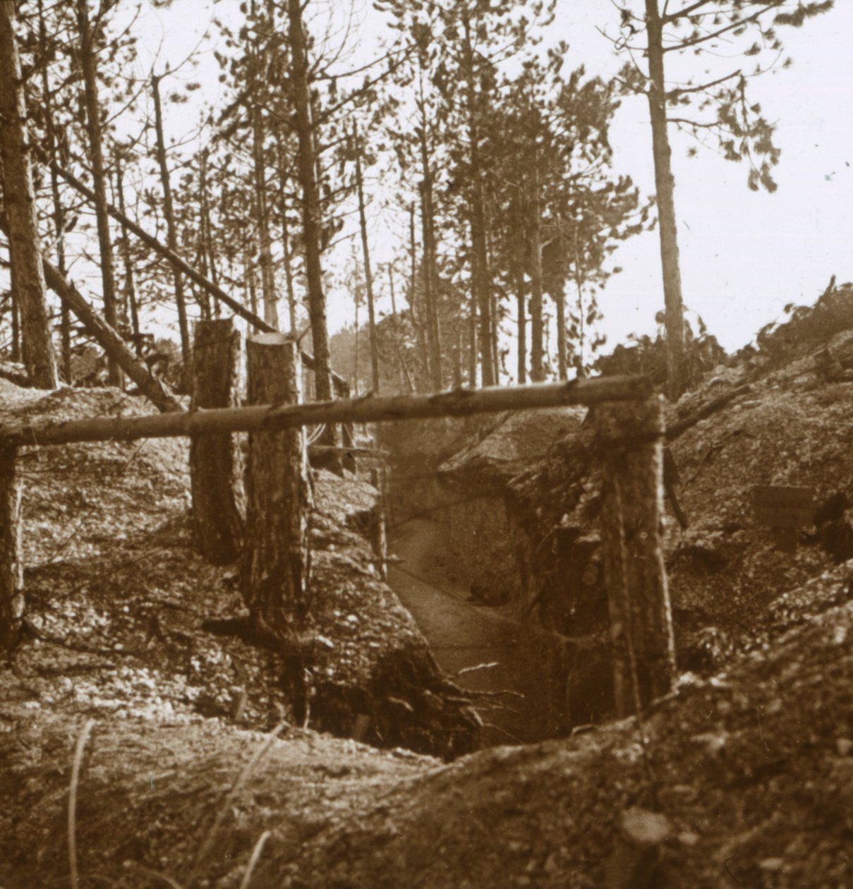 Bois-le-Prétre, północna Francja, c1914-c1915 autorstwa Unbekannt