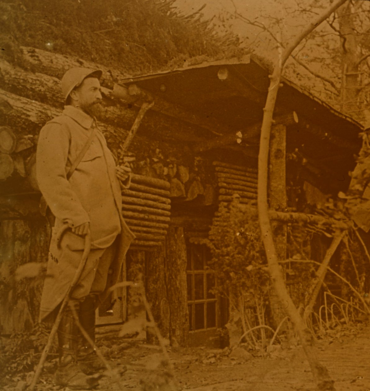Bois dHaumont, północna Francja, c1914-c1918 autorstwa Unbekannt