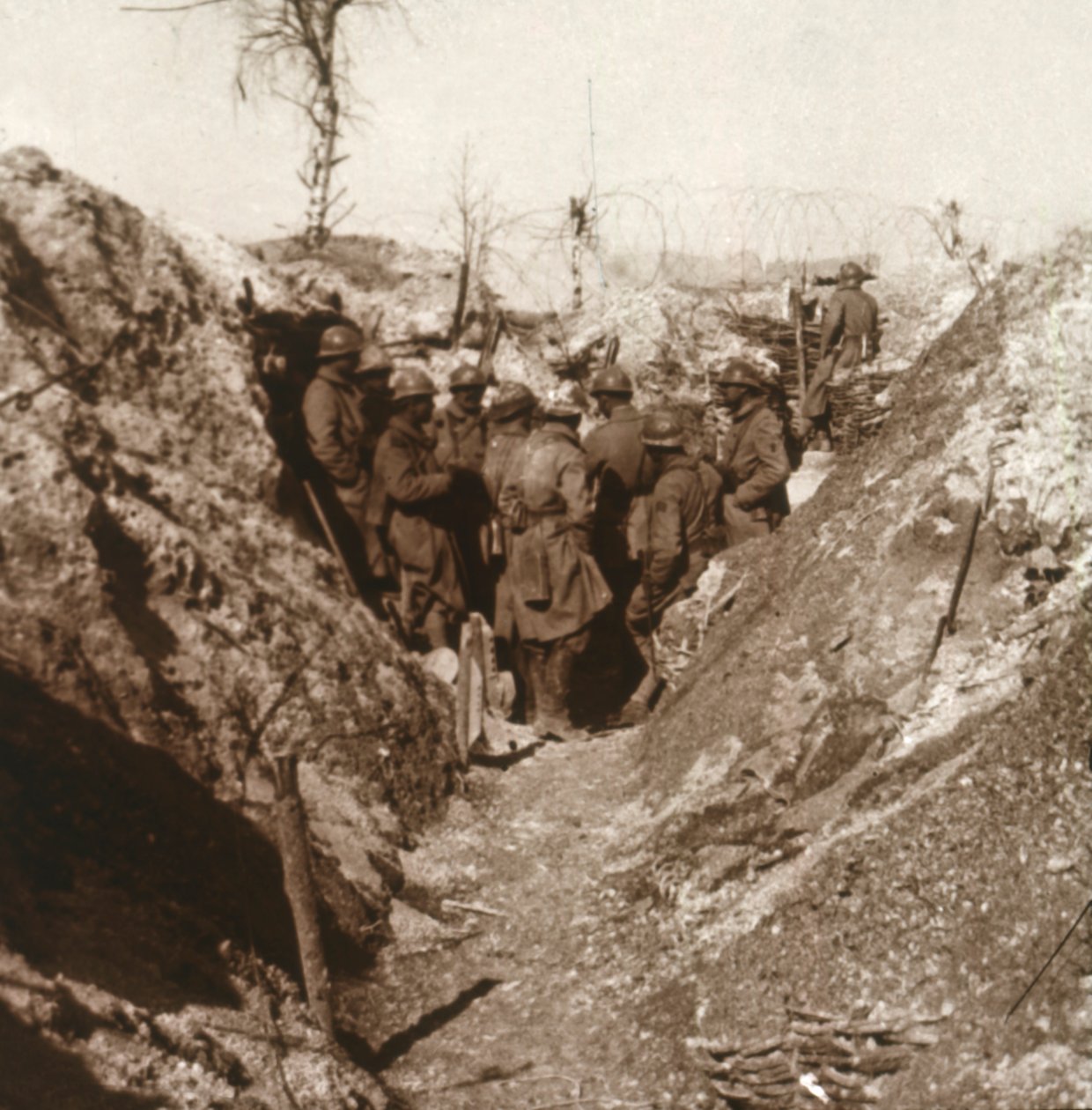 Bois de la Grille przed atakiem, północna Francja, c1914-c1918 autorstwa Unbekannt
