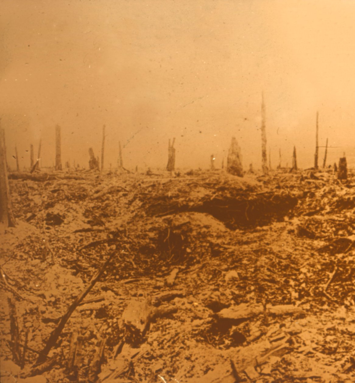 Bois du Chapitre, Vaux, północna Francja, c1914-c1918 autorstwa Unbekannt