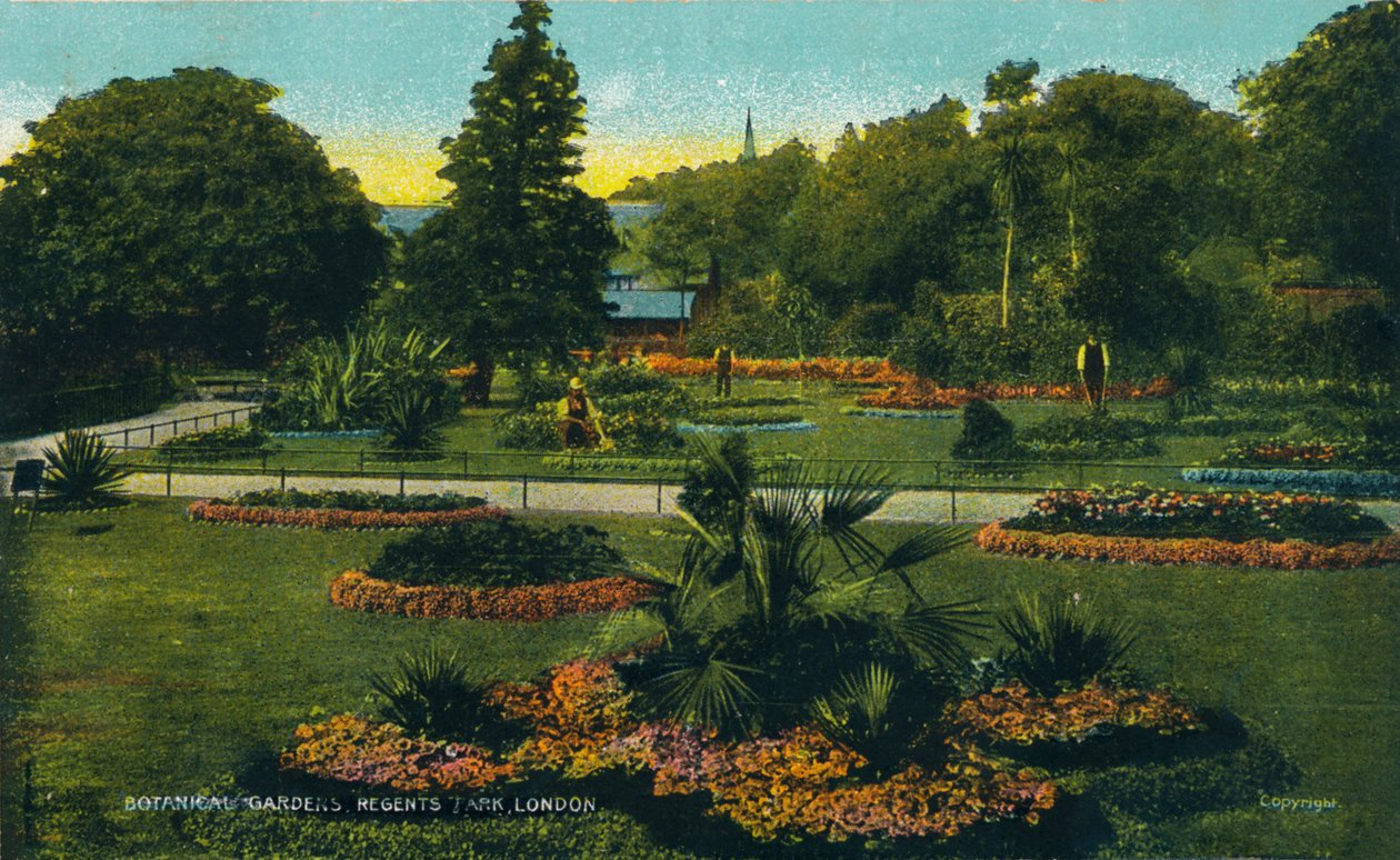 Ogrody botaniczne, Regents Park, Londyn, ok. 1910 r. autorstwa Unbekannt