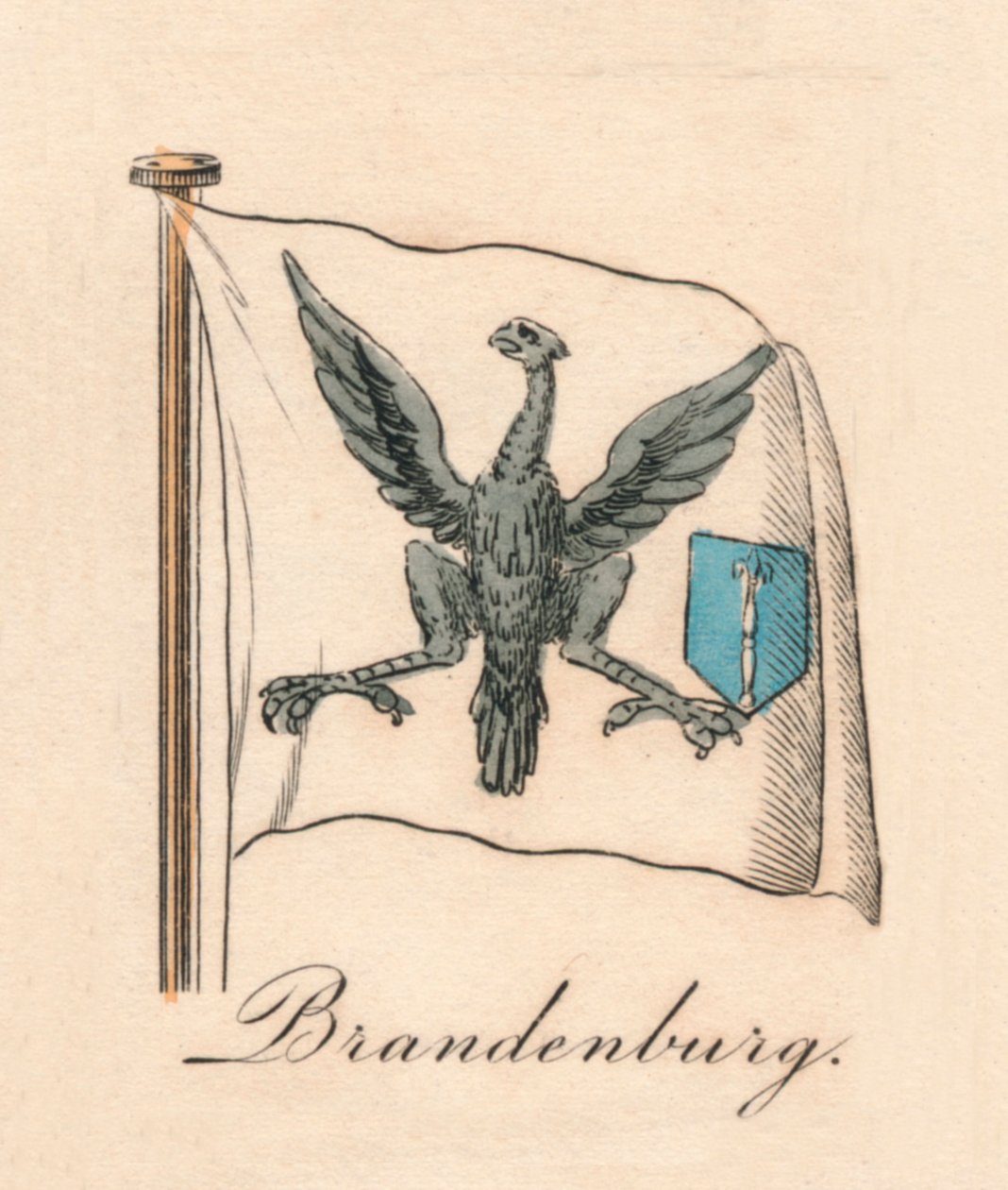 Brandenburgia, 1838 autorstwa Unbekannt