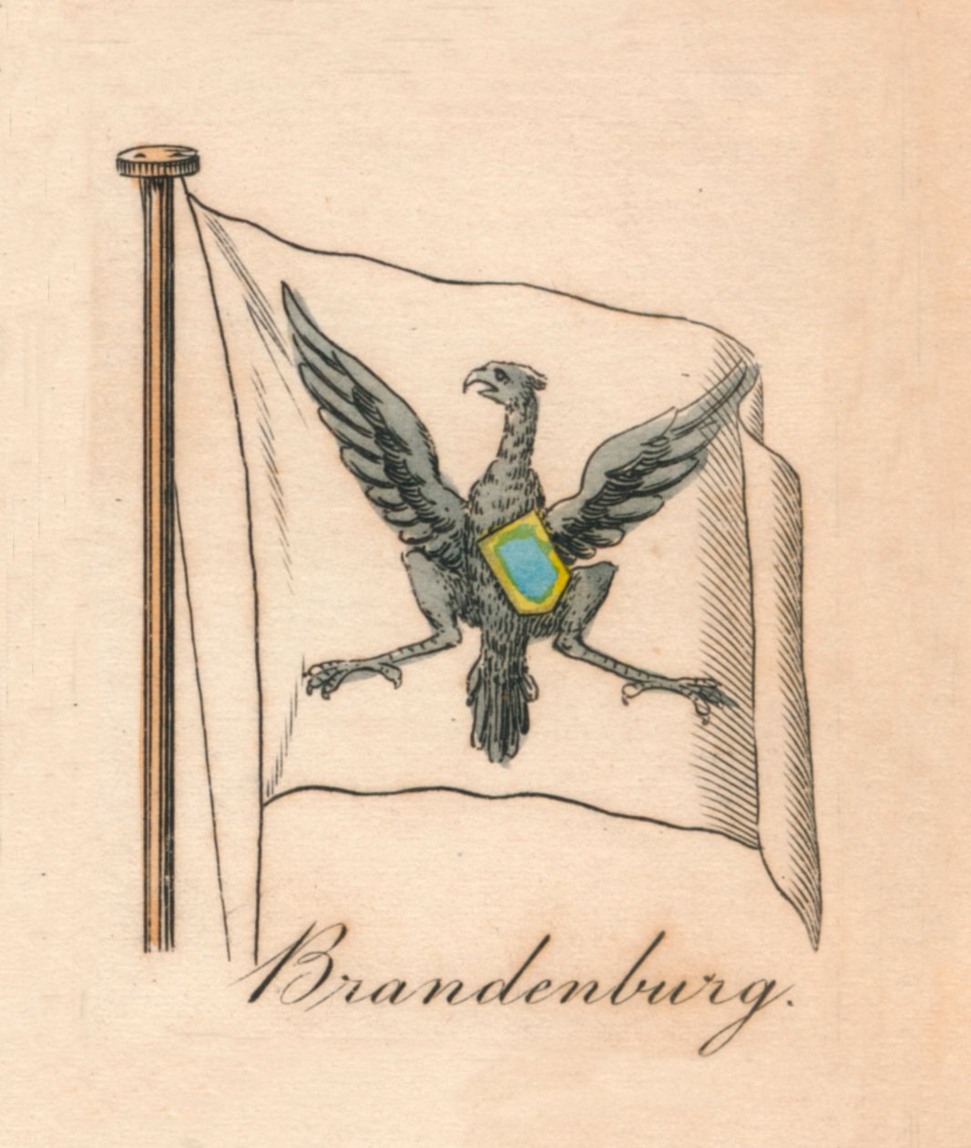 Brandenburgia, 1838 autorstwa Unbekannt