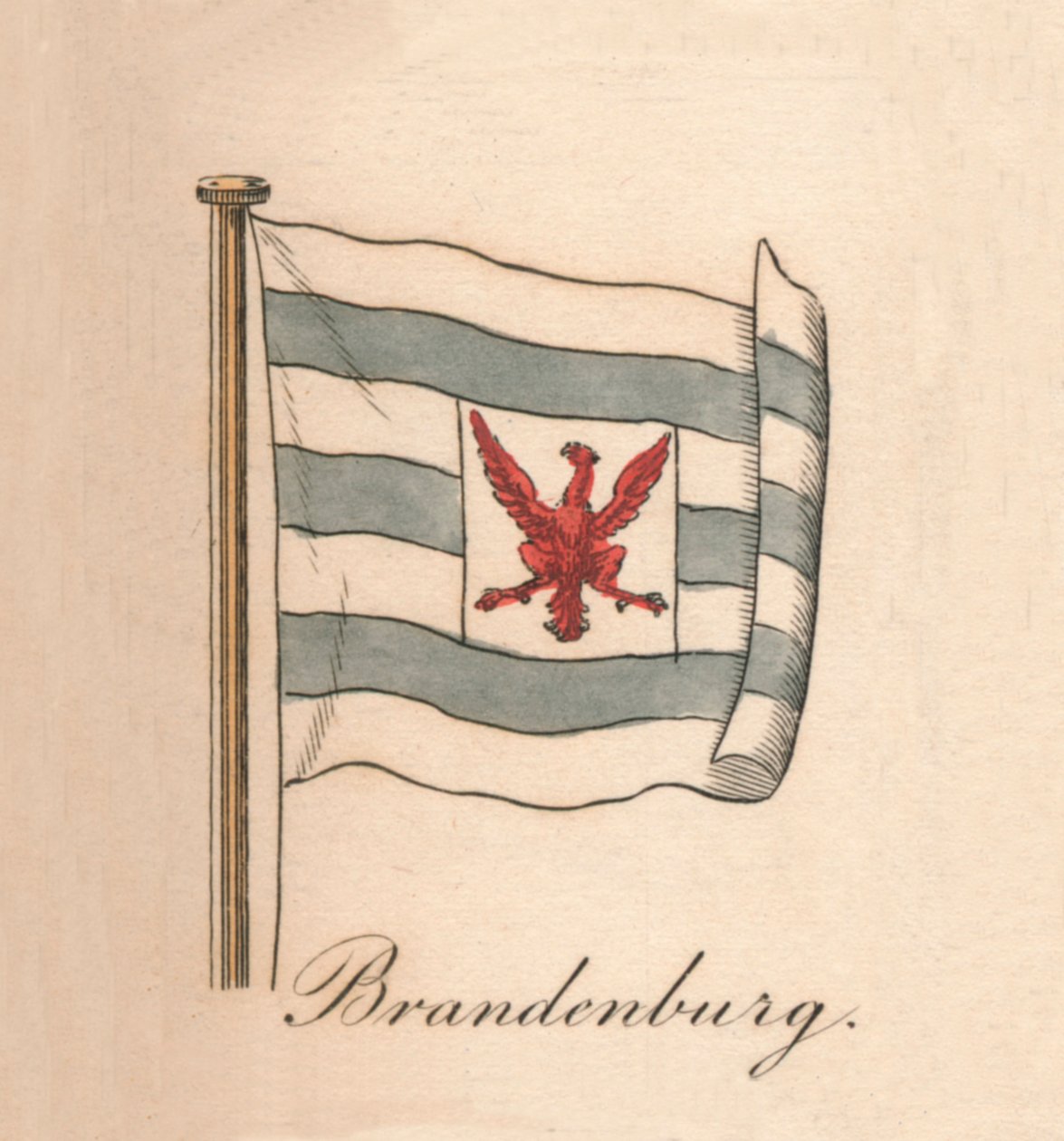 Brandenburgia, 1838 autorstwa Unbekannt