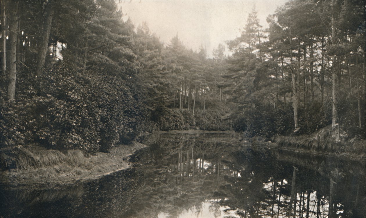 Branksome Chine i Lake, c1910 autorstwa Unbekannt