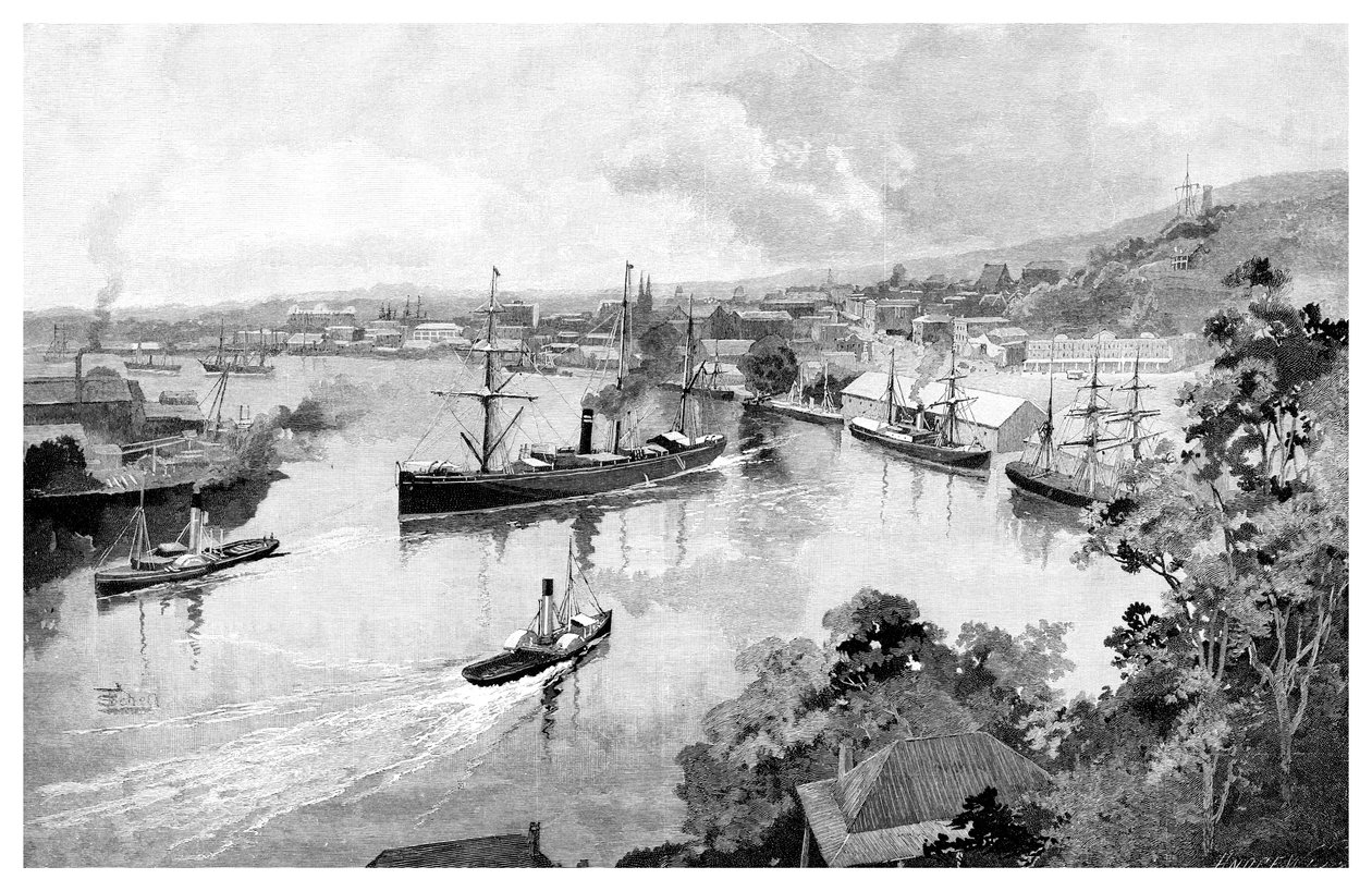 Brisbane z Bowen Terrace, 1886 autorstwa Unbekannt
