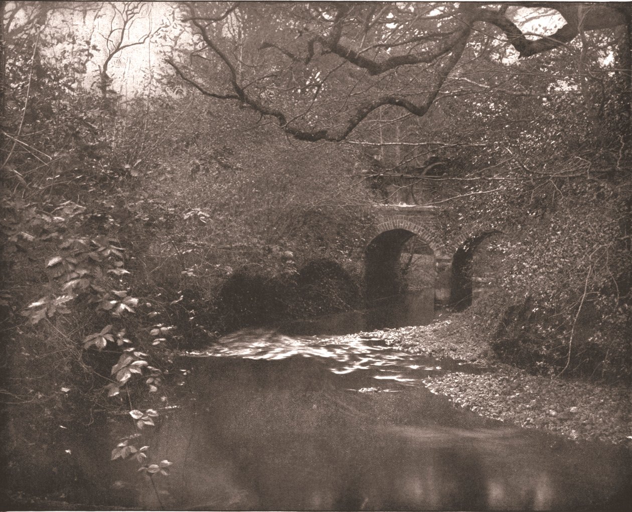 Potok i most w New Forest, Hampshire, 1894. autorstwa Unbekannt