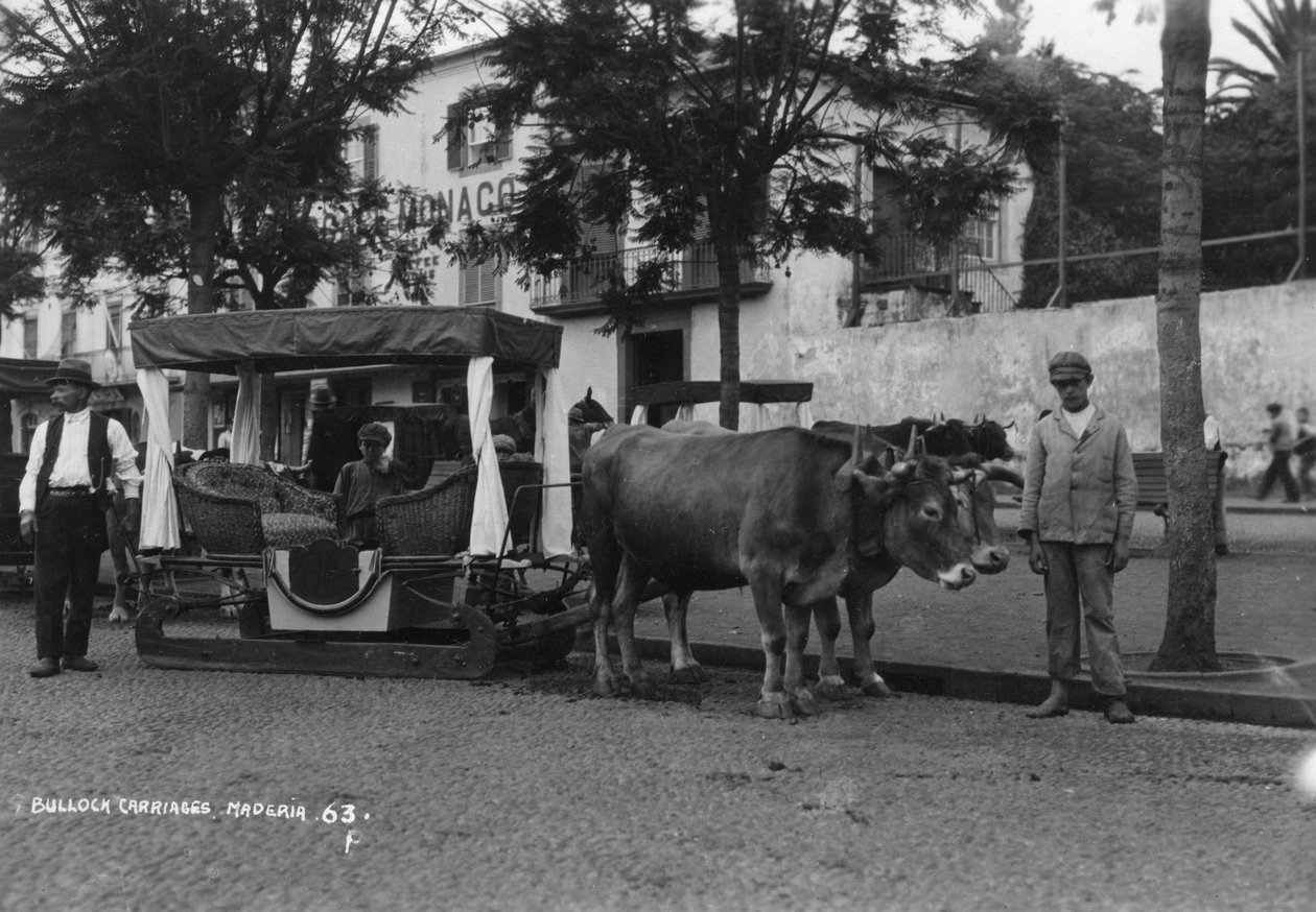 Powóz Bullock, Madera, Portugalia, lata 20.- 30. XX wieku autorstwa Unbekannt