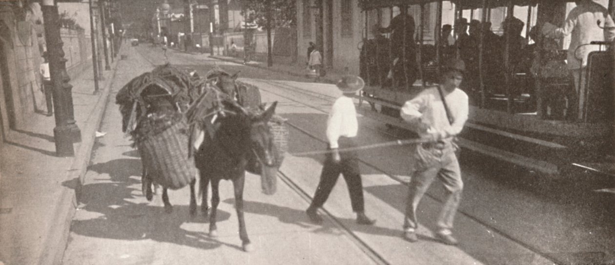 Tramwajem i mułem, 1914 autorstwa Unbekannt