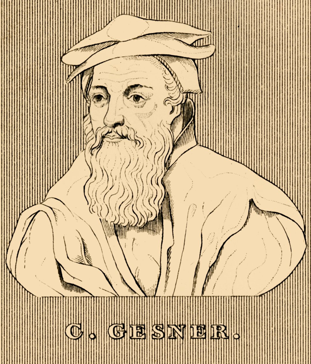 C. Gesner, 1516-1565, 1830 autorstwa Unbekannt