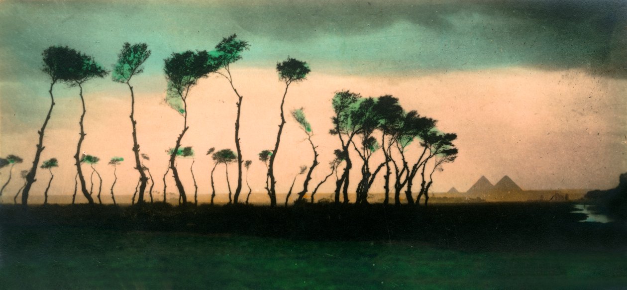 Kair: Piramidy, c1918-c1939. autorstwa Unbekannt