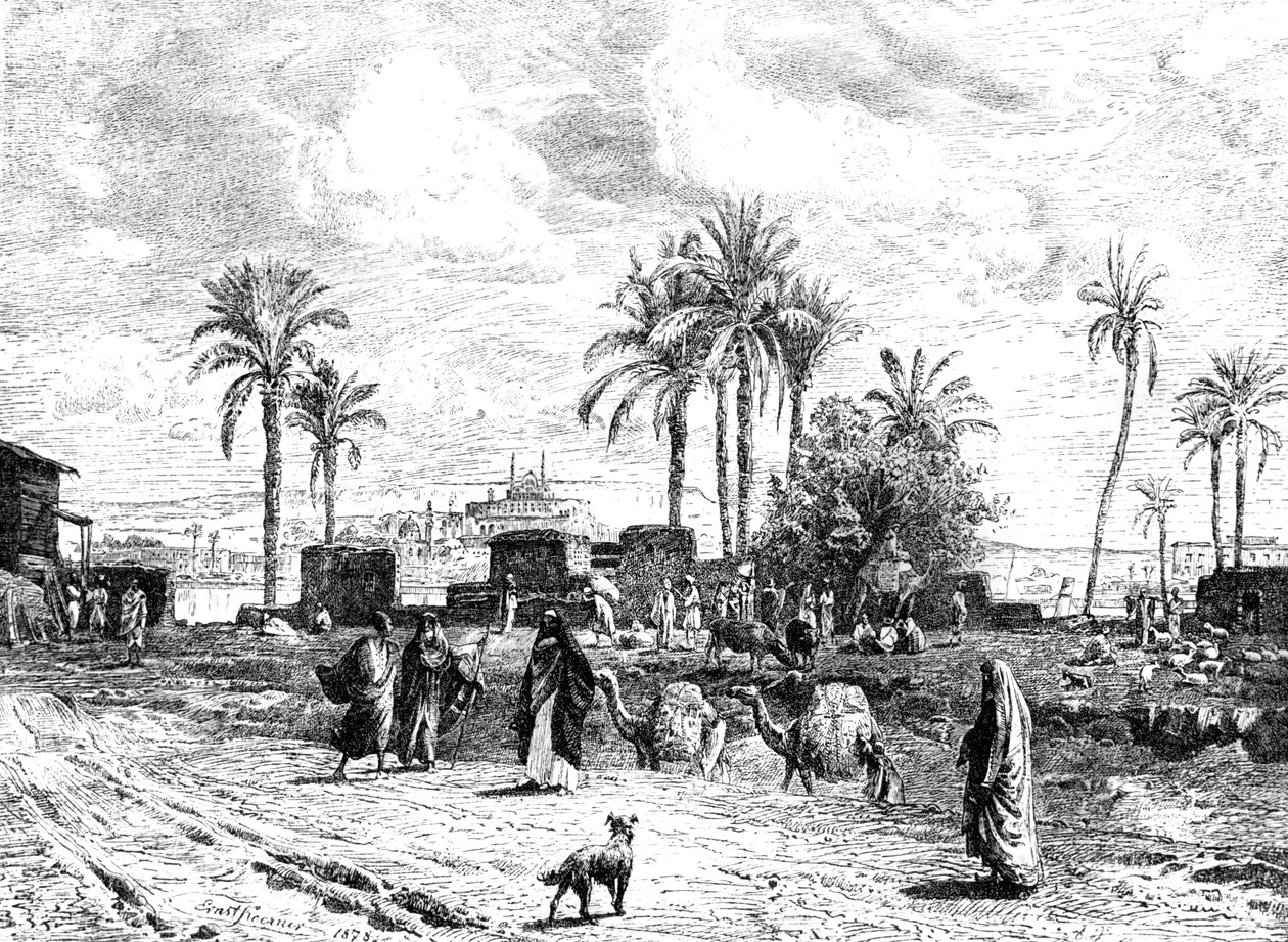 Kair widziany z lewego brzegu Nilu, 1881 autorstwa Unbekannt