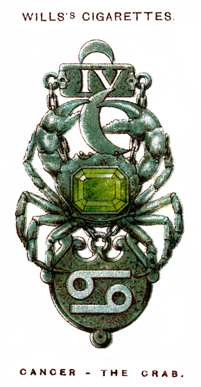 Rak, Krab, 1923 autorstwa Unbekannt