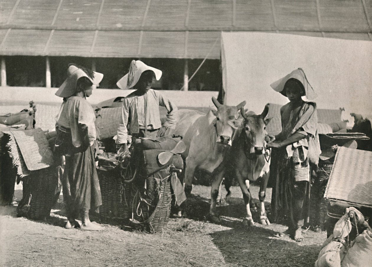 Scena karawany z Shansem w Bhamo, 1900. autorstwa Unbekannt