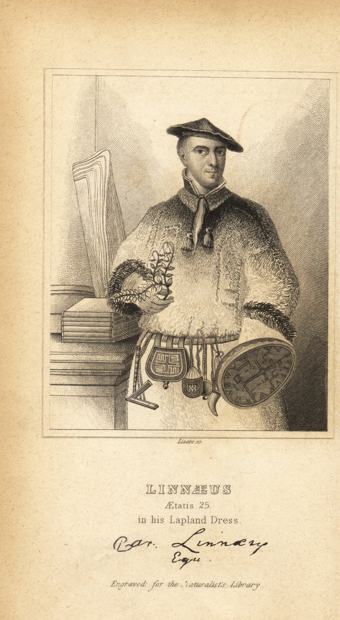 Carl Linnaeus w swoim Lapland Dress, szwedzki botanik, lekarz i zoolog, wynalazca nomenklatury dwumianowej autorstwa Unbekannt