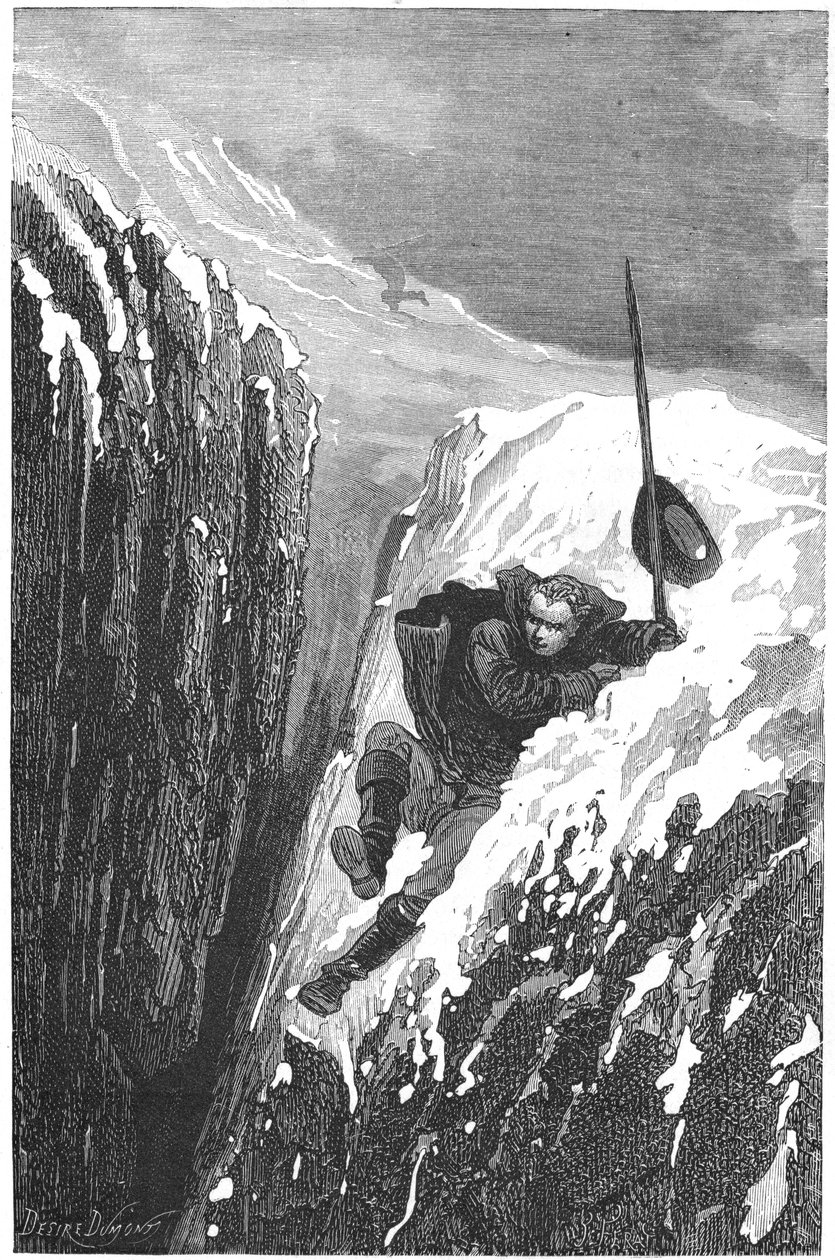 Carolus Linneusz, XVIII-wieczny szwedzki naukowiec i przyrodnik, 1874 autorstwa Unbekannt