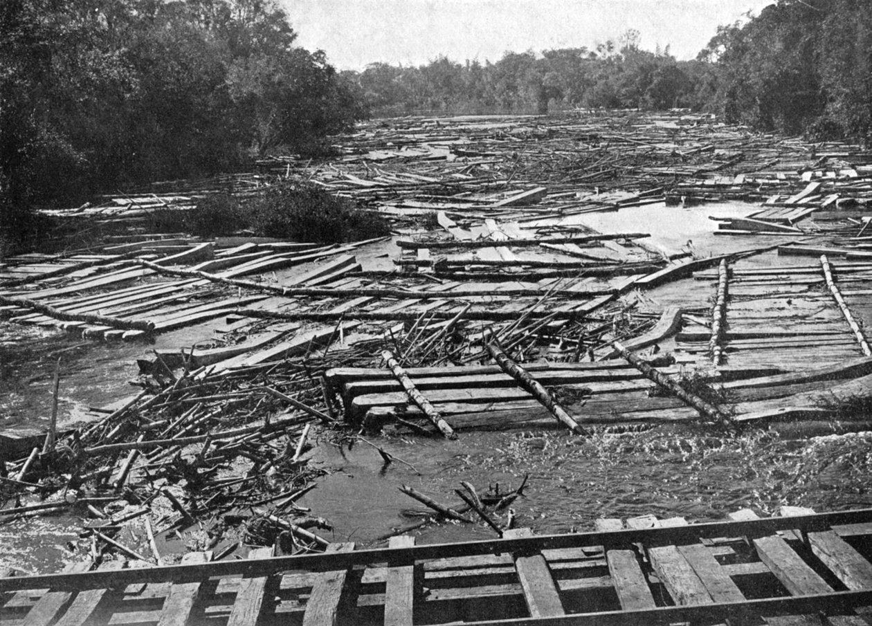 Kłody cedrowe na rzece Tebicuary-Guazu płynącej przy moście kolejowym, Paragwaj, 1911 autorstwa Unbekannt