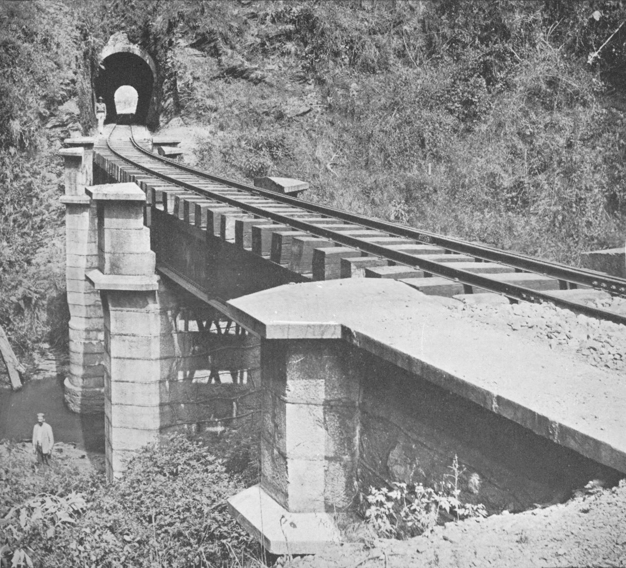 Centralna Kolej Brazylii: Tunelowanie przez Serra do MAR, 1914 autorstwa Unbekannt