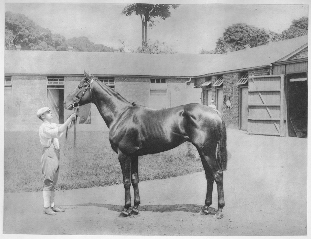 Chandon, 1911 autorstwa Unbekannt