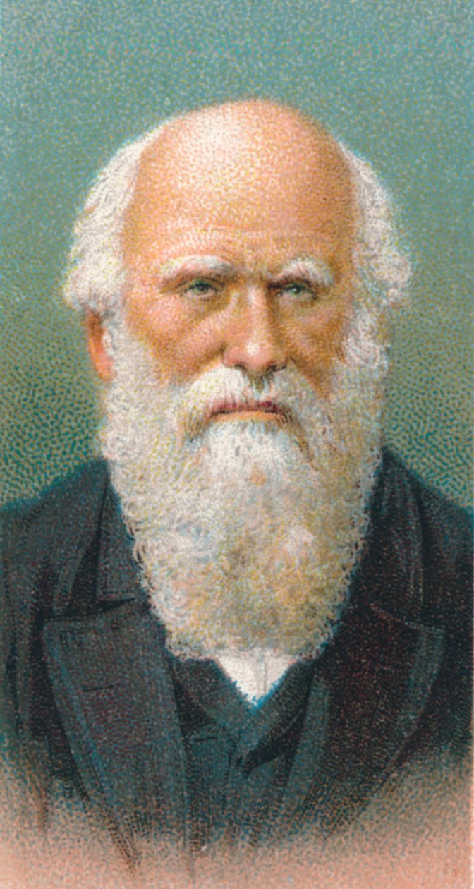 Karol Darwin 1809-1882, brytyjski przyrodnik, 1924 autorstwa Unbekannt