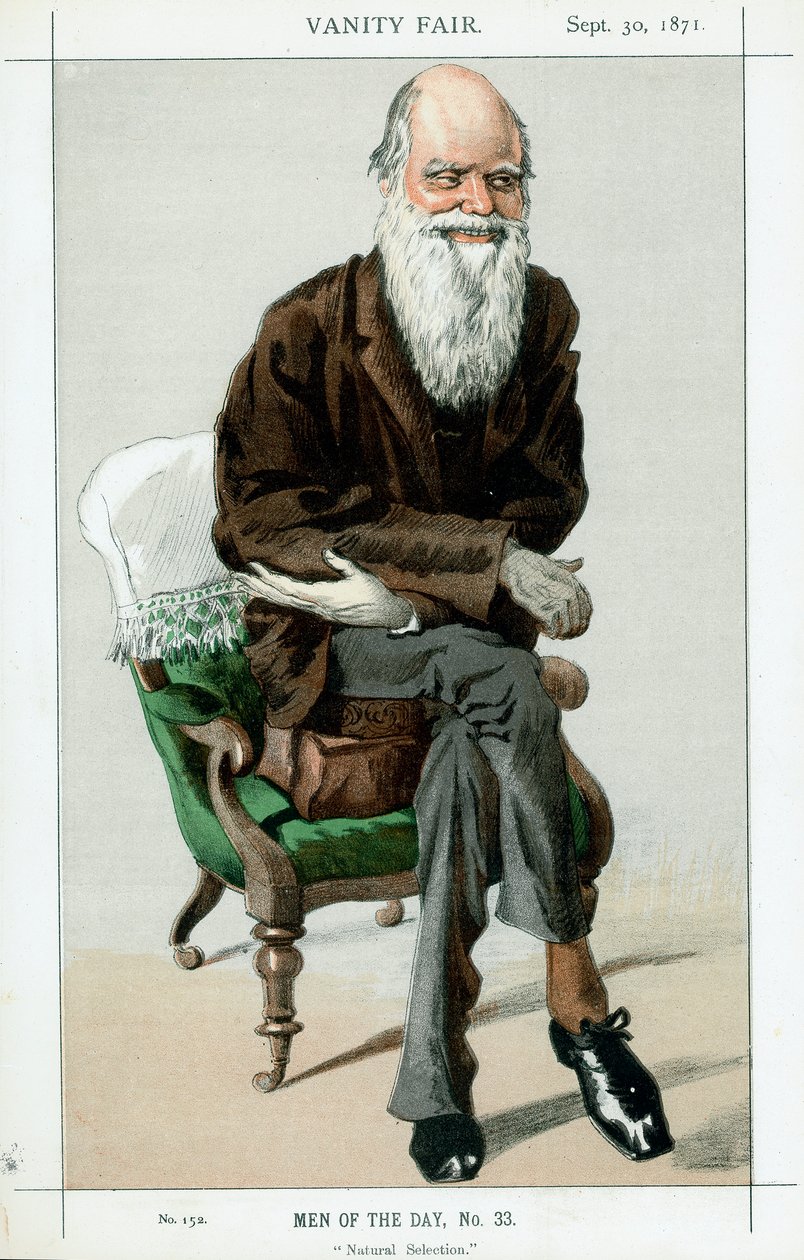 Karol Darwin, angielski przyrodnik, 1871 autorstwa Unbekannt