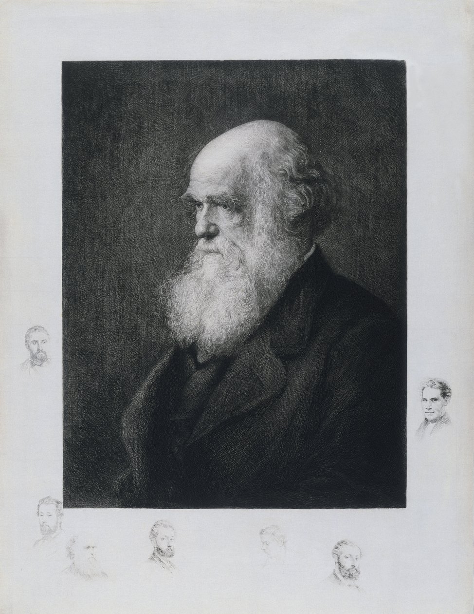 Karol Darwin, angielski przyrodnik, ok. 1860 autorstwa Unbekannt