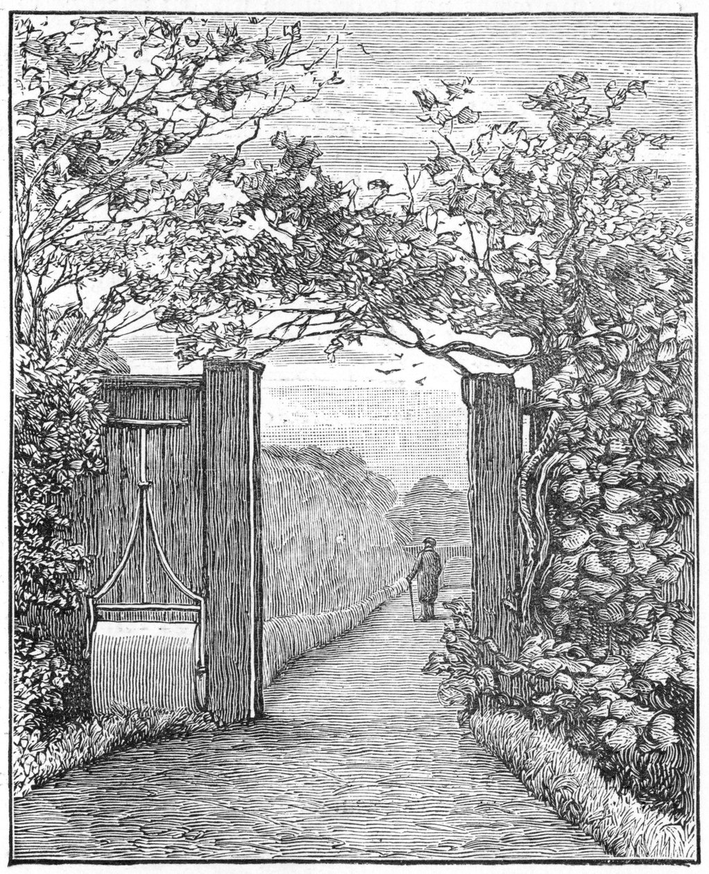 Karol Darwin na spacerze po piasku w Down House, c1870 1887 autorstwa Unbekannt