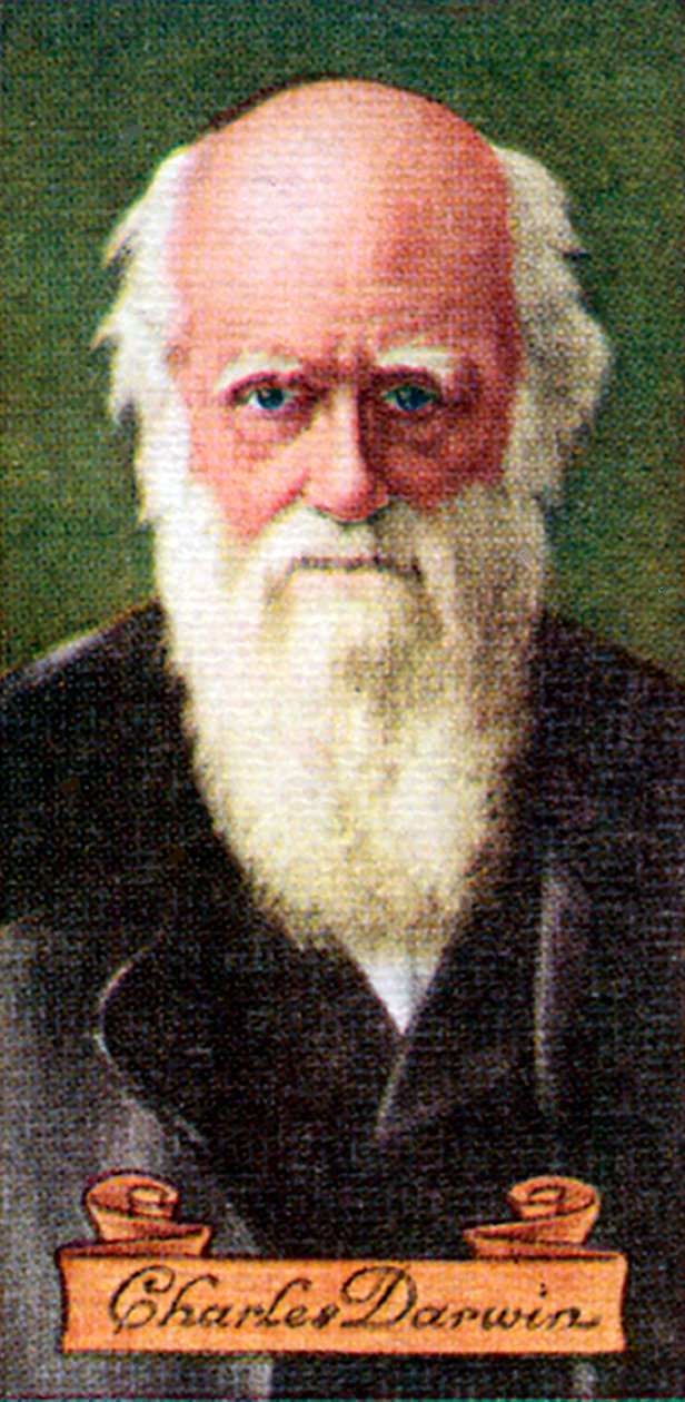 Charles Darwin, wzięty z serii kart z papierosami, 1935 autorstwa Unbekannt
