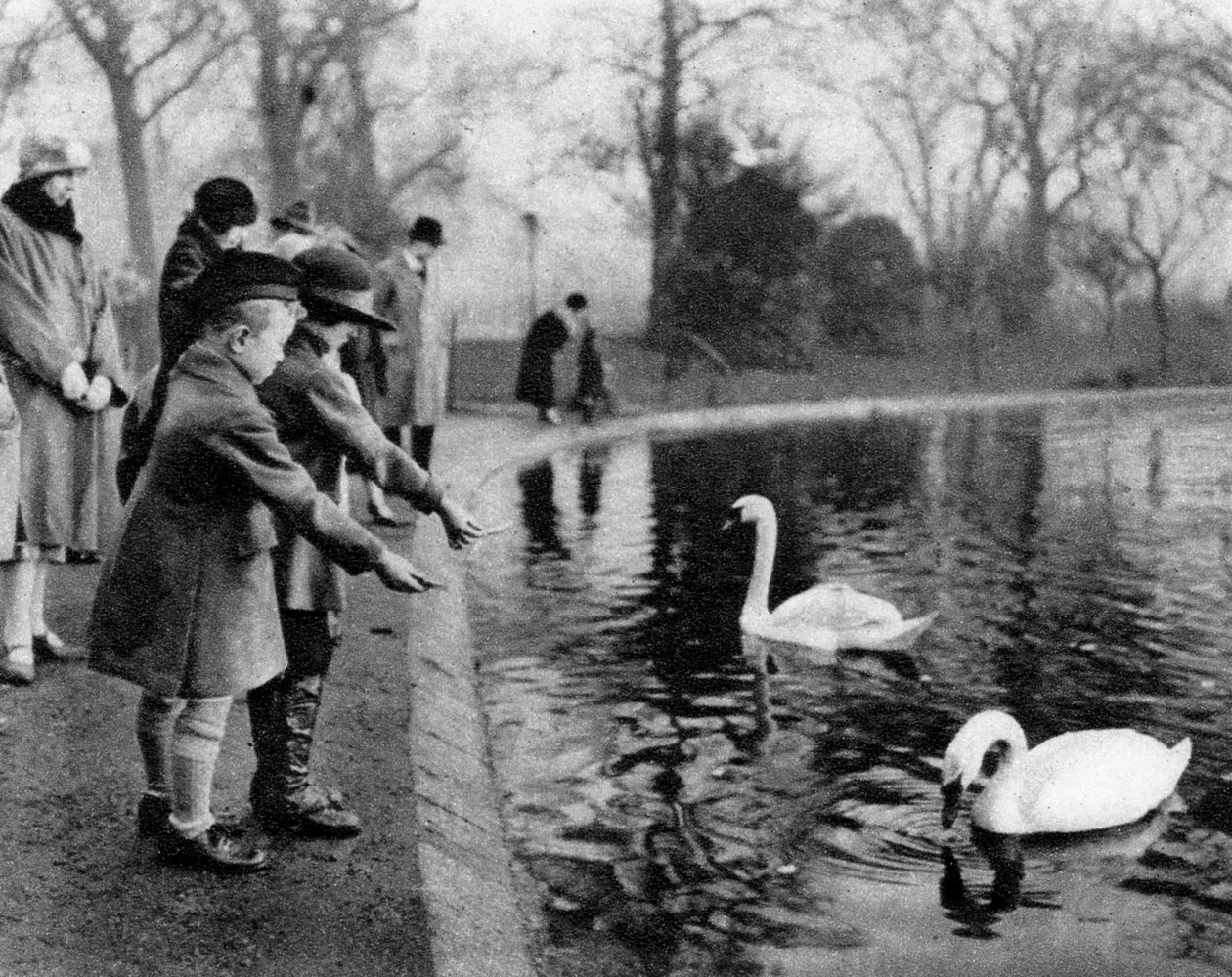 Dzieci karmiące łabędzie na Serpentine, Londyn, 1926-1927 autorstwa Unbekannt