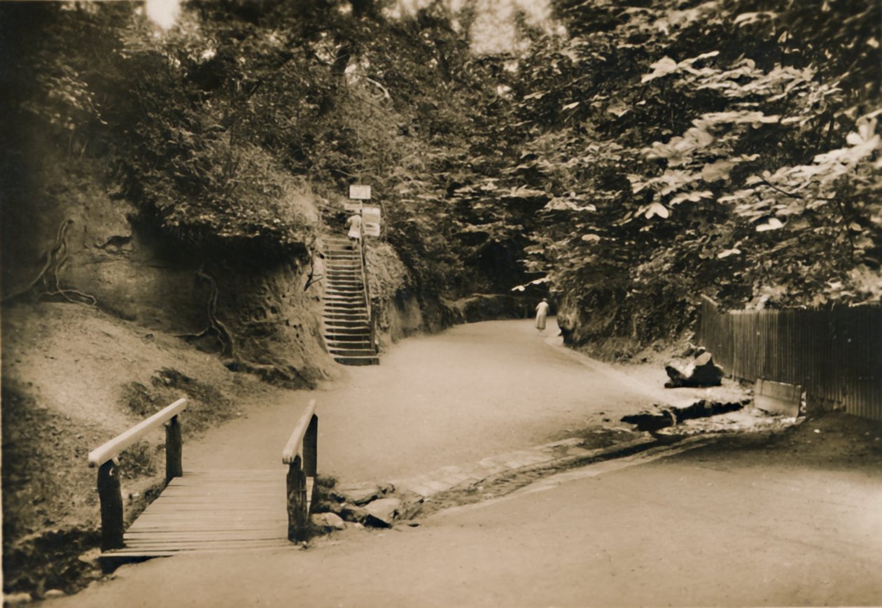 Chine Hollow, Shanklin, I.W., ok. 1920 r. autorstwa Unbekannt
