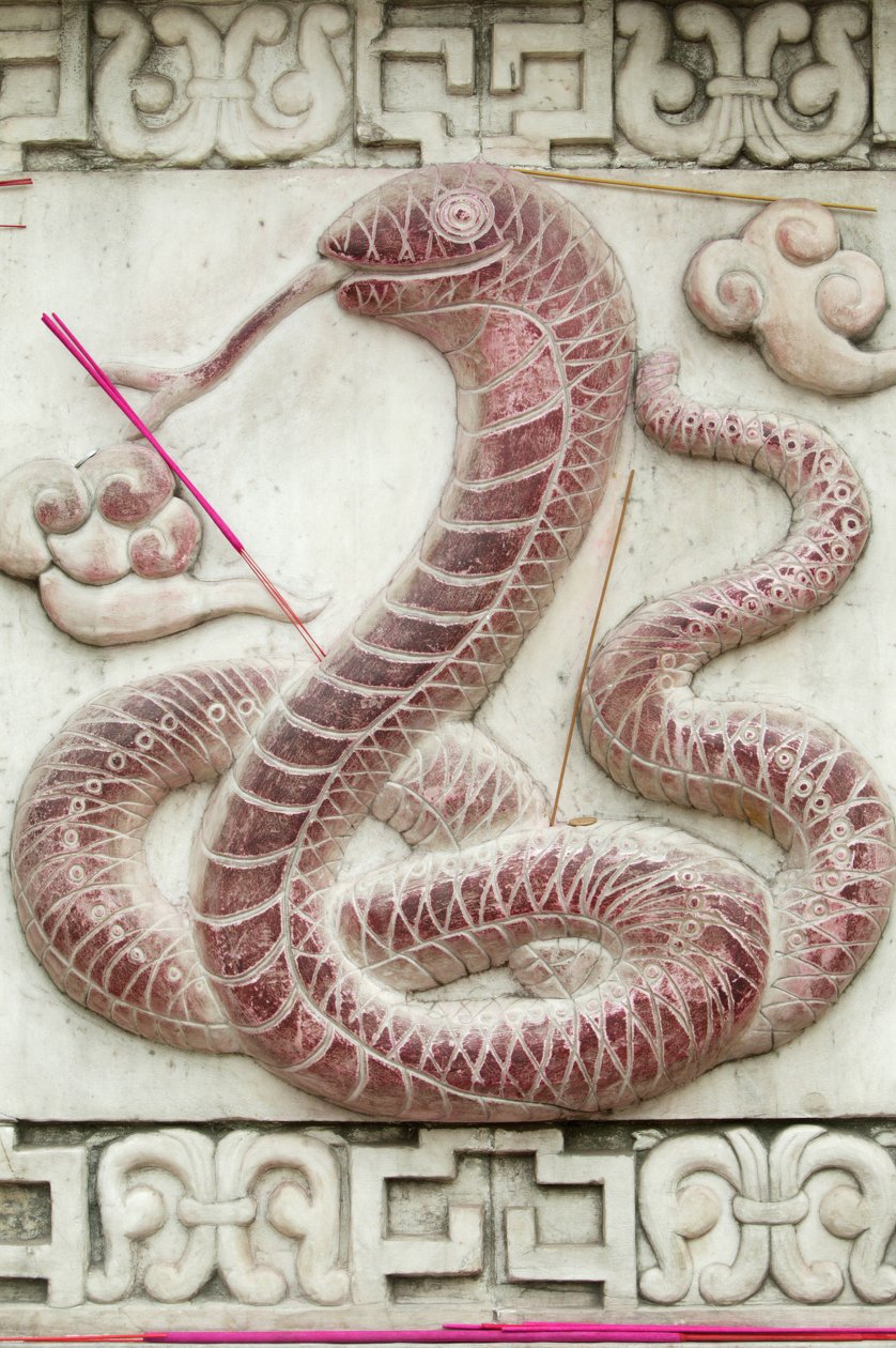 Chiński znak zodiaku. Świątynia Białej Chmury Pekin Chiny autorstwa Unbekannt