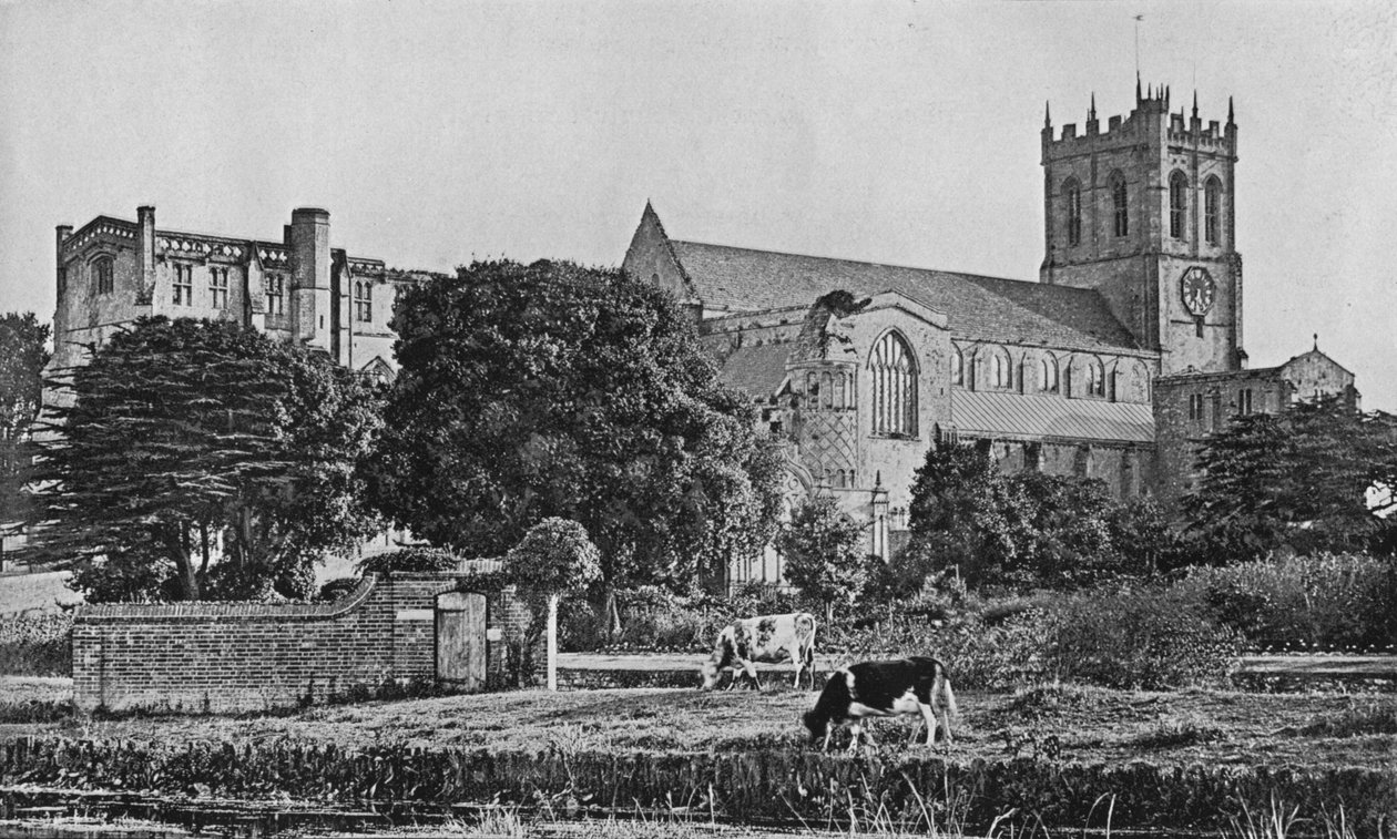 Klasztor w Christchurch, c1910 autorstwa Unbekannt
