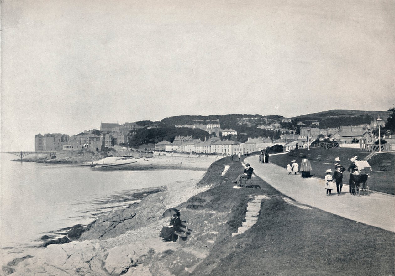 Clevedon - Zielona Plaża, 1895 autorstwa Unbekannt