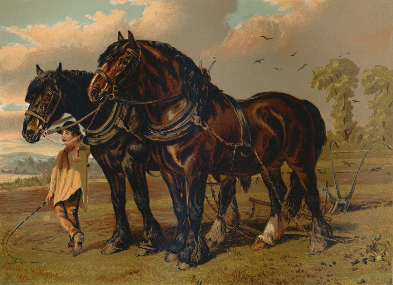 Ogier i klacz Clydesdale, ok. 1879 r. autorstwa Unbekannt