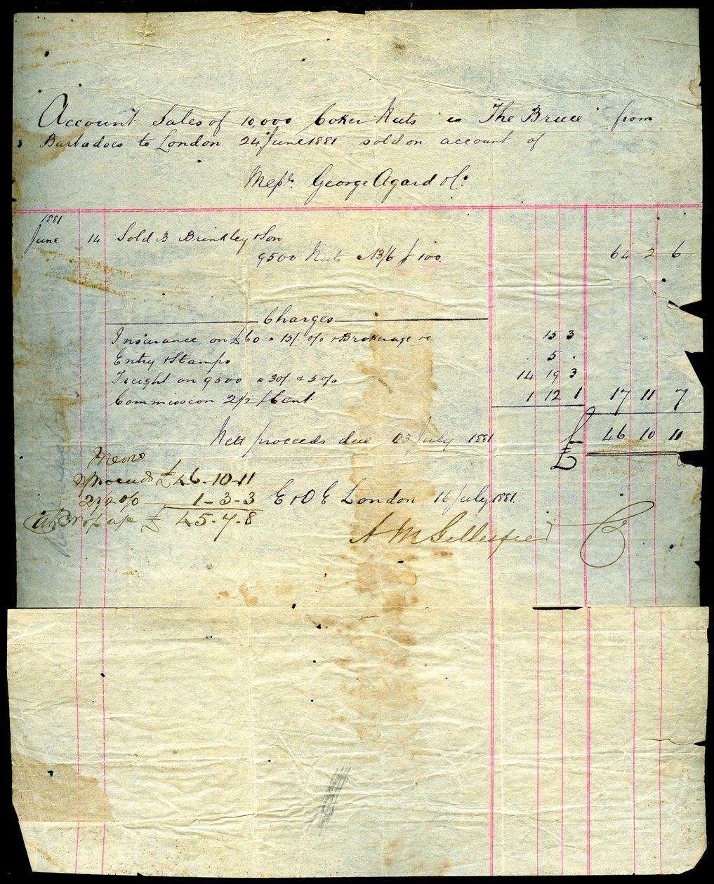 Pokwitowanie sprzedaży kokosa, Barbados do Londynu, 1881 autorstwa Unbekannt