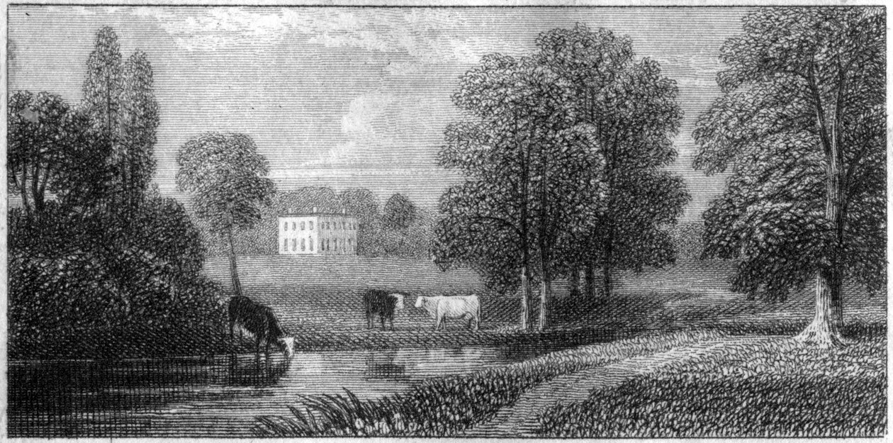 Coley Park, Berkshire, XIX wiek autorstwa Unbekannt