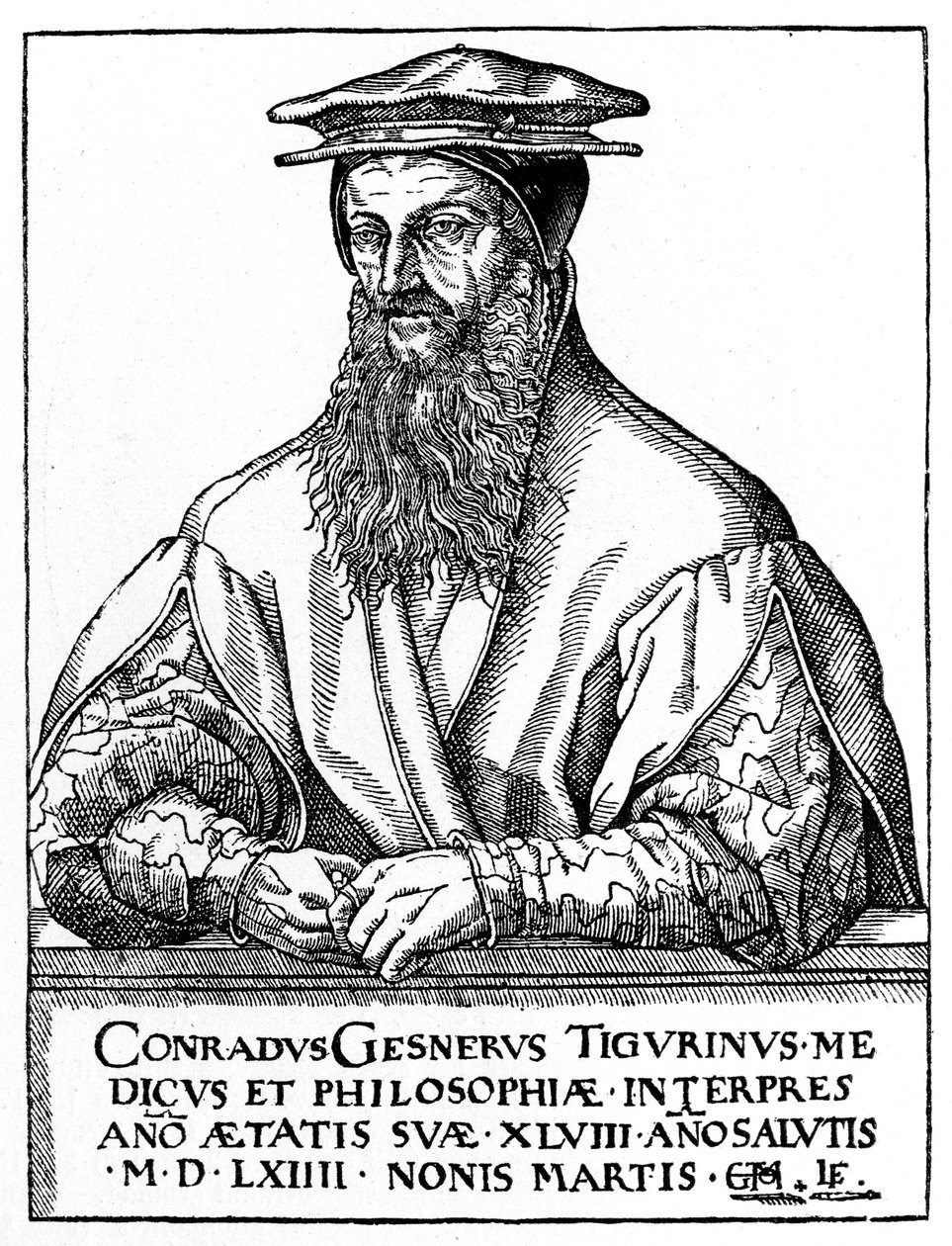 Conrad Gessner, szwajcarski przyrodnik, 1887 autorstwa Unbekannt