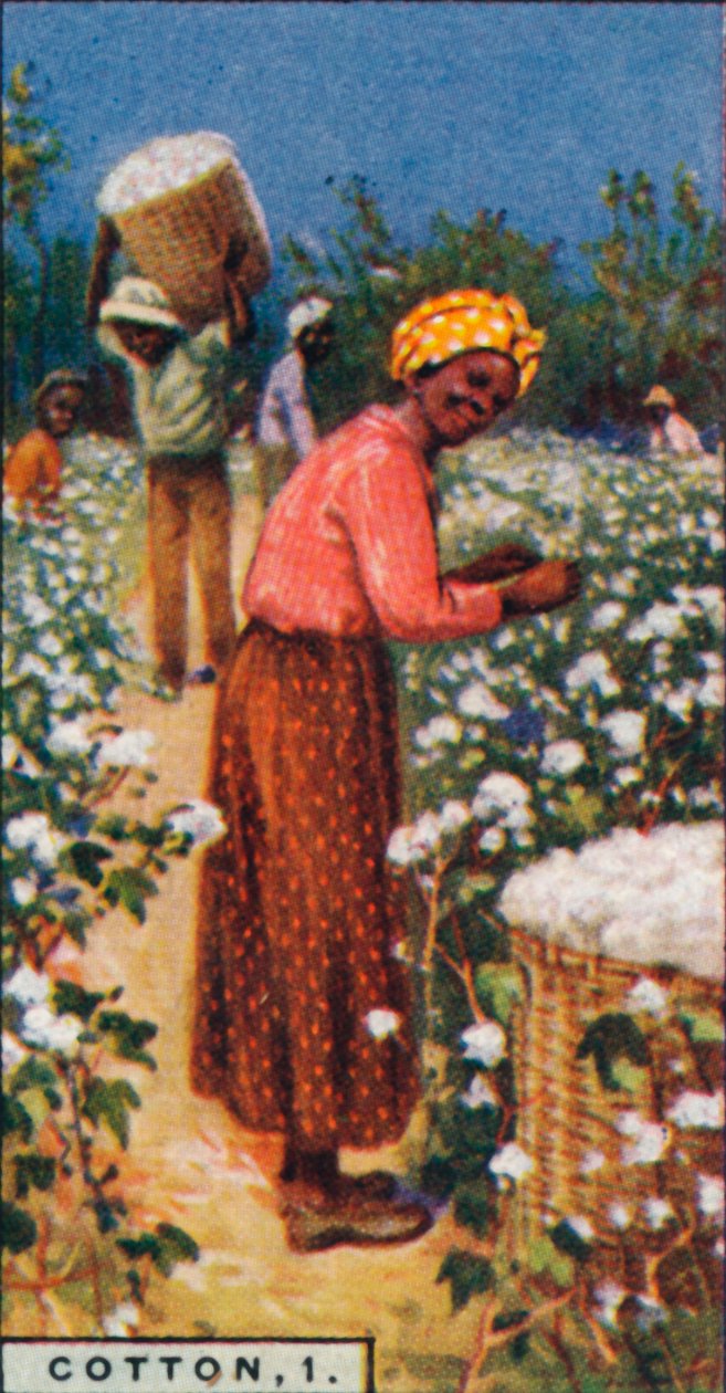 Bawełna, 1. - Zbieranie nasion bawełny, W. Indies, 1928 autorstwa Unbekannt