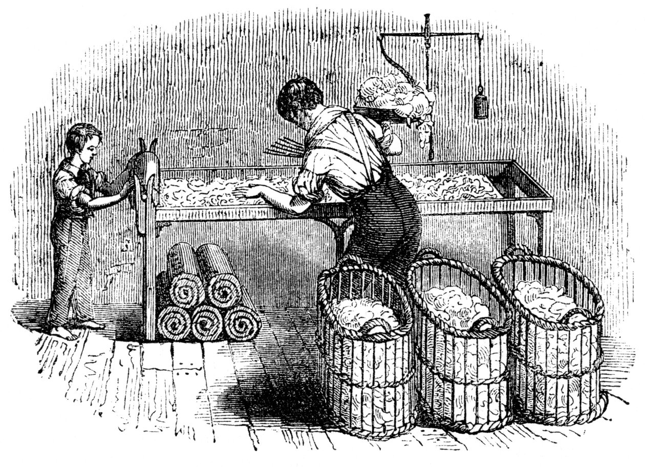 Produkcja bawełny, c1845 autorstwa Unbekannt