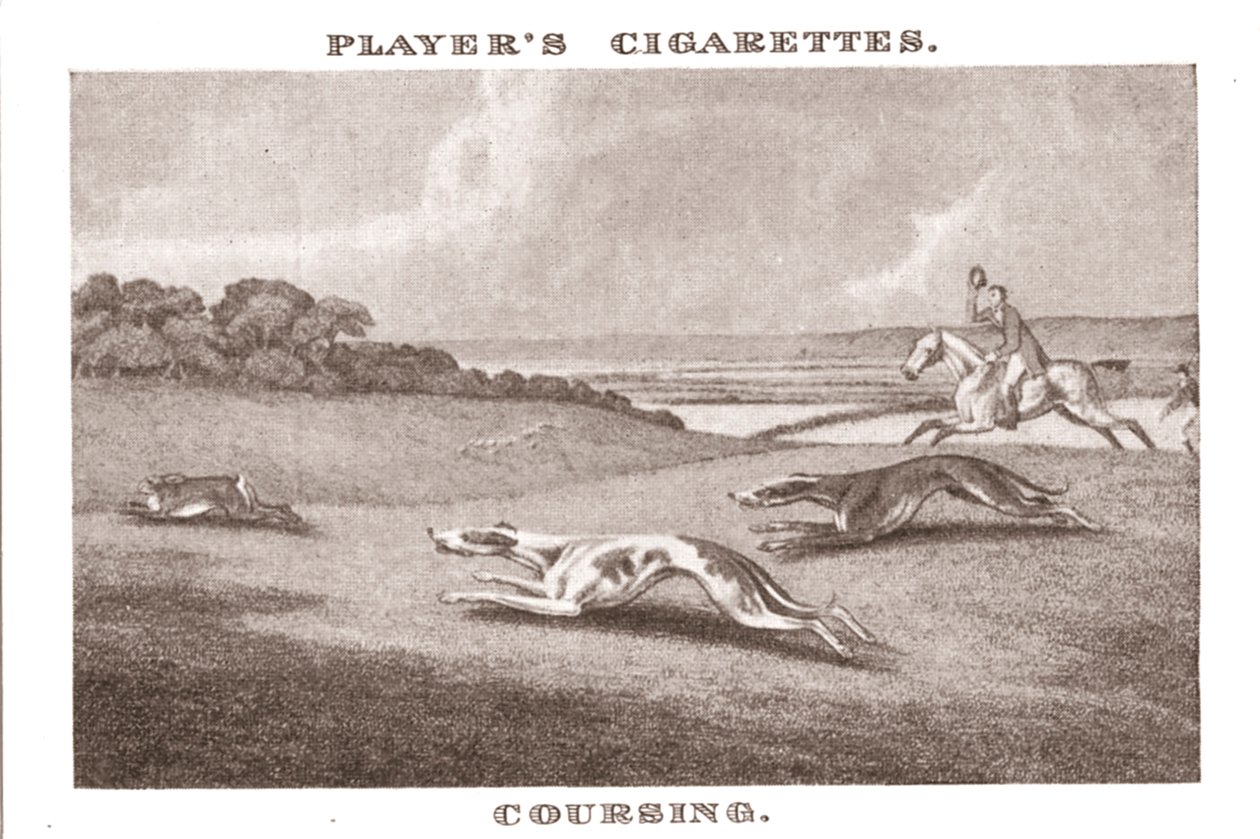 Coursing-11, 1924. autorstwa Unbekannt