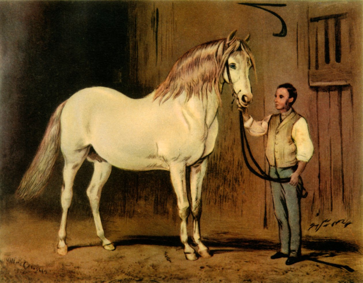 „Cream State Carriage Horse of Queen Victoria