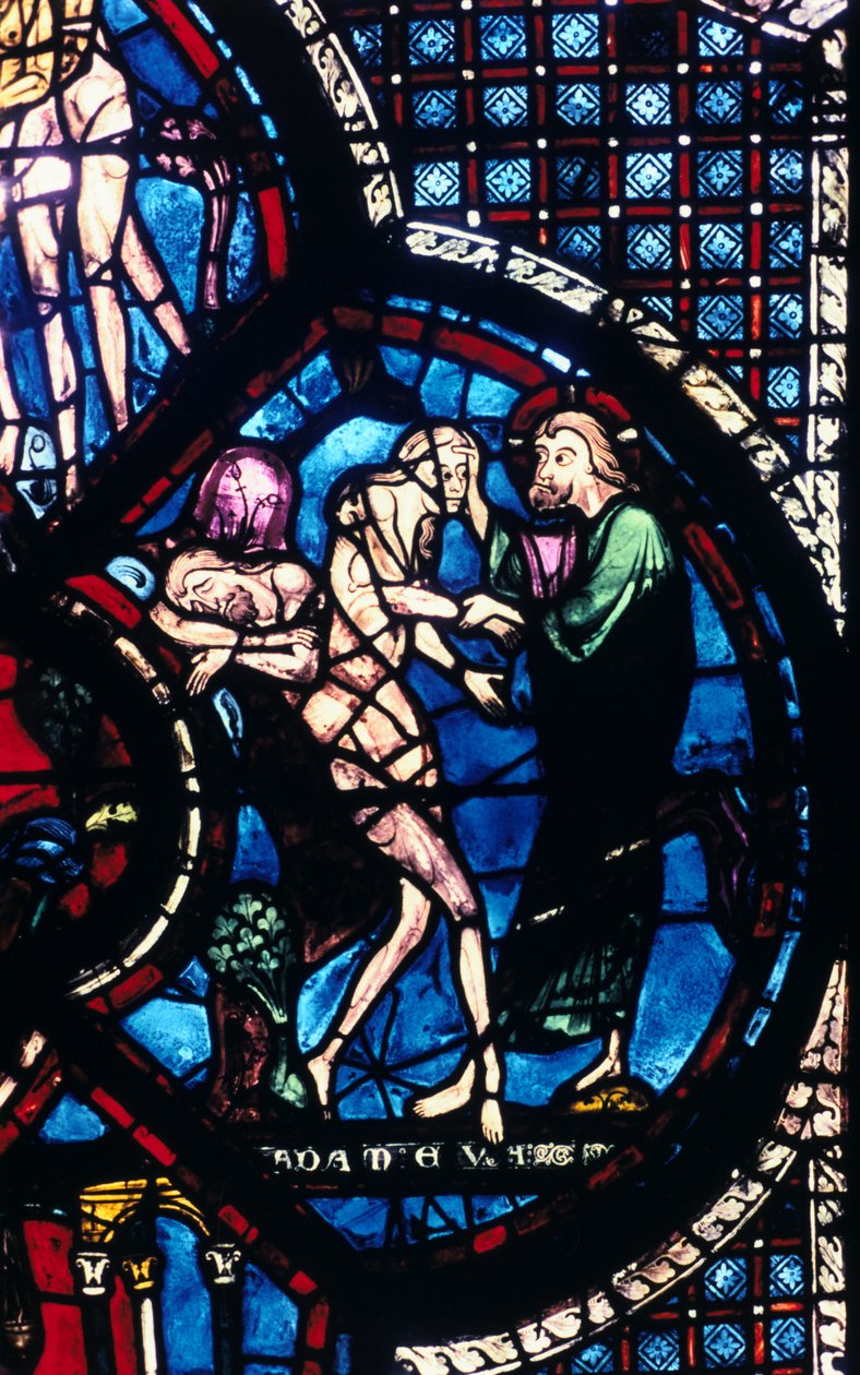Stworzenie Ewy, witraż, katedra w Chartres, Francja, 1205-1215 autorstwa Unbekannt