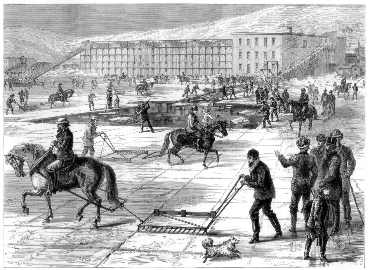 Cięcie i przechowywanie lodu na rzece Hudson, Nowy Jork, USA, 1875 autorstwa Unbekannt